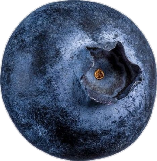 Blueberry